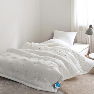 ����Ʈ ��ī�� ���� ���� ����� �����̺� �̱�/�� 2����  ����ħ���������� 