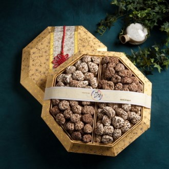 ������ ���� ǥ�� ���� ������Ʈ (�Ȱ�ȭ�� ��Ʈ) 