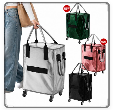�Ѹ�īƮ 60L ��ٱ��� ĳ���� ��ƮīƮ