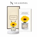 NEW ����� ������ ������Ʈ ��ǻ�� 50ml �عٶ��